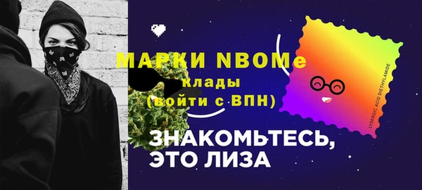 индика Дмитриев