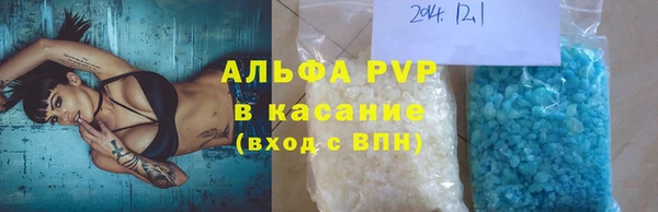 индика Дмитриев