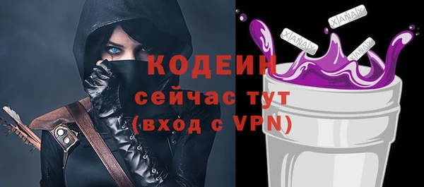 индика Дмитриев