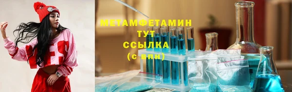 индика Дмитриев