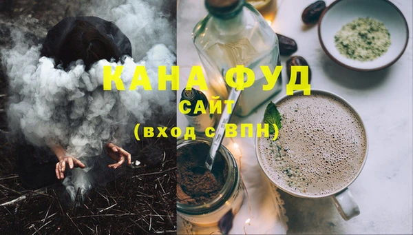 индика Дмитриев