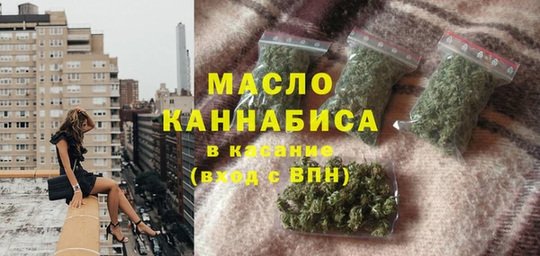 индика Дмитриев