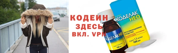 индика Дмитриев