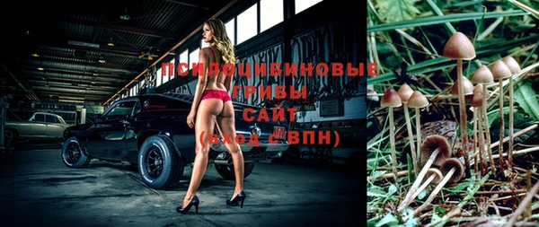 каннабис Дмитровск