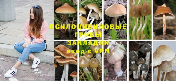 каннабис Дмитровск