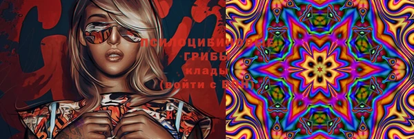 каннабис Дмитров