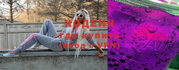 индика Дмитриев