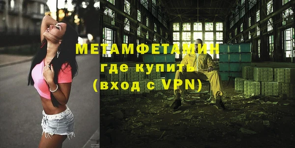 индика Дмитриев