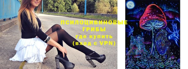 индика Дмитриев