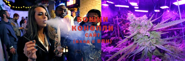 индика Дмитриев