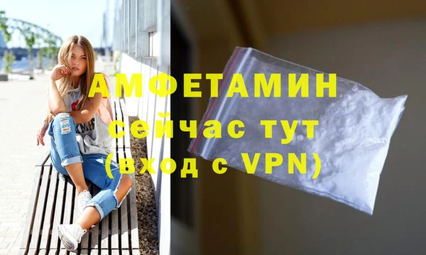 индика Дмитриев