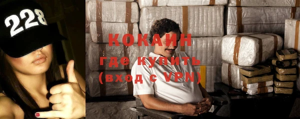 индика Дмитриев